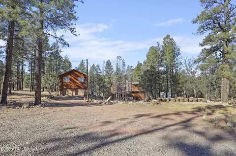 2590 Canyon View Dr, Happy Jack, AZ 86024