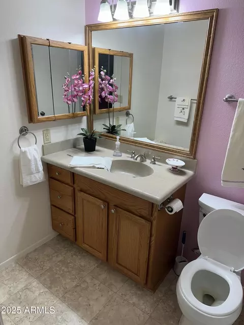 Bath - 4829 E Lake Point Cir, Phoenix, AZ 85044 photo 2 of 4