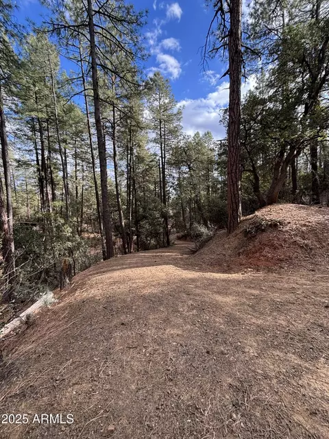 398 N B C N Apache Trl #398B & 398C, Pine, AZ 85544 photo 2
