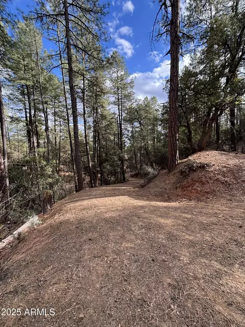 398 N B C N Apache Trl #398B & 398C, Pine, AZ 85544 photo 7