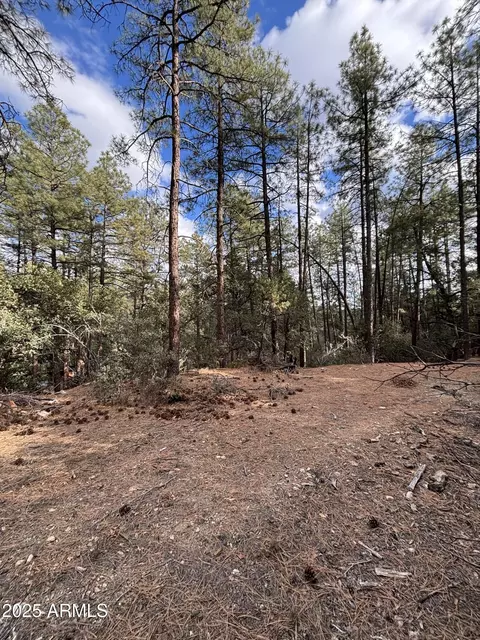 398 N B C N Apache Trl #398B & 398C, Pine, AZ 85544 photo 5