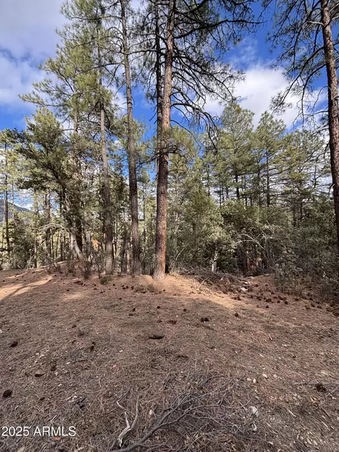398 N B C N Apache Trl #398B & 398C, Pine, AZ 85544 photo 4