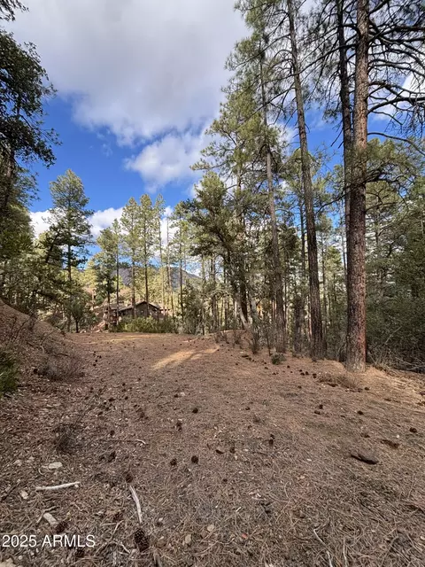 398 N B C N Apache Trl #398B & 398C, Pine, AZ 85544 photo 3