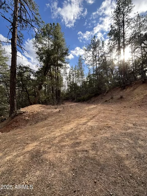 398 N B C N Apache Trl #398B & 398C, Pine, AZ 85544 photo 6