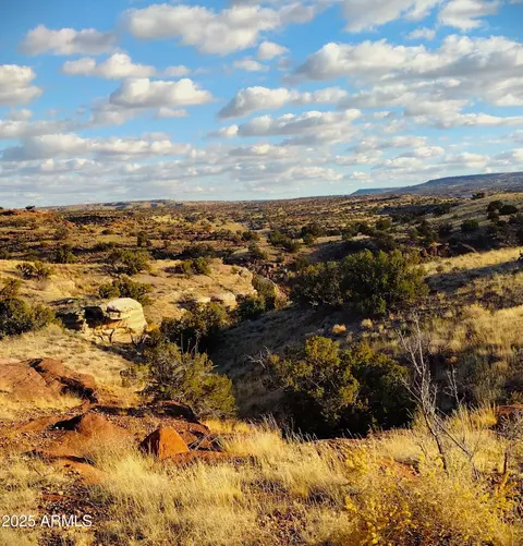 lot35 River Springs Rnch #035, Saint Johns, AZ 85936