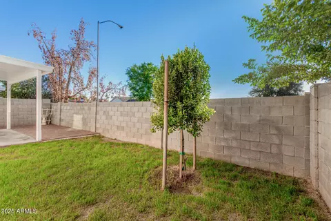 441 S Maple -- #13, Mesa, AZ 85206 photo 28