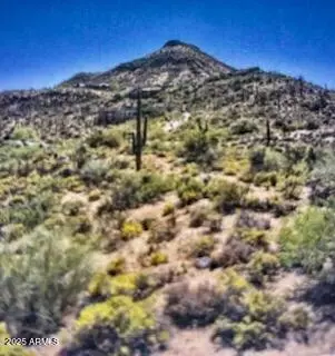 39838 N 98th Way, Scottsdale, AZ 85262
