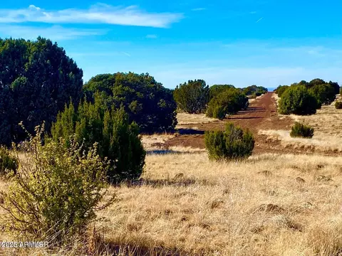 tbd County Road 8305 -- #-, Concho, AZ 85924