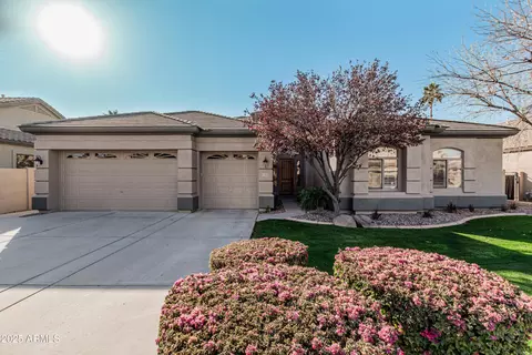 1281 E Morelos St, Chandler, AZ 85225