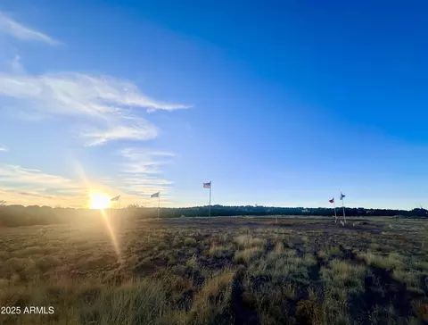 3 Cedar Ln #-, Concho, AZ 85924