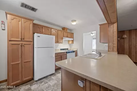 1231 E Vine Ave, Mesa, AZ 85204 photo 10