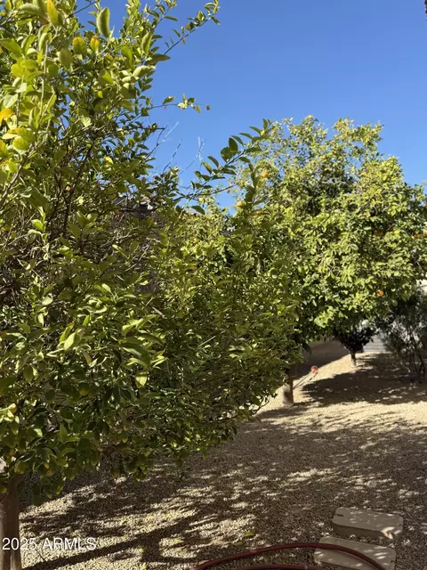 3957 Expedition Way, Phoenix, AZ 85050 photo 43
