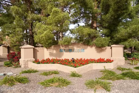 3830 E Carter Dr, Phoenix, AZ 85042 photo 30