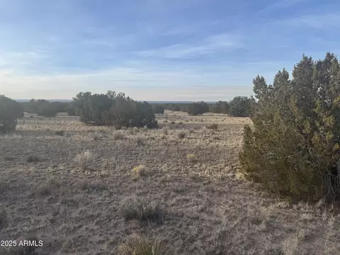 7199 Lot 004 Witch Well Rnch #004, Saint Johns, AZ 85936