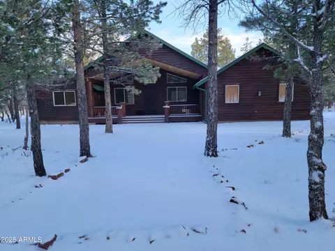 2893 Apache Dr, Happy Jack, AZ 86024 photo 31
