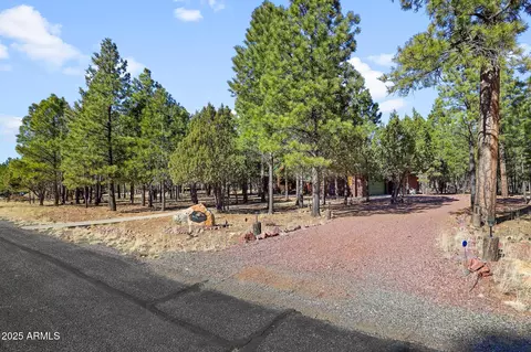 2893 Apache Dr, Happy Jack, AZ 86024