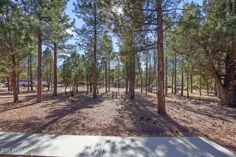 2893 Apache Dr, Happy Jack, AZ 86024 photo 8