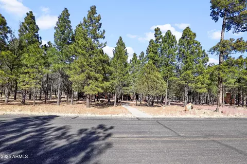 2893 Apache Dr, Happy Jack, AZ 86024 photo 4