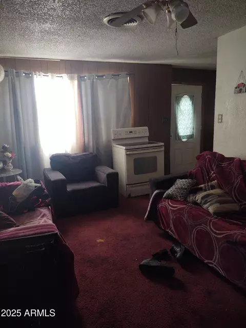 Other - 1042 E 14th St, Douglas, AZ 85607 photo 3 of 10