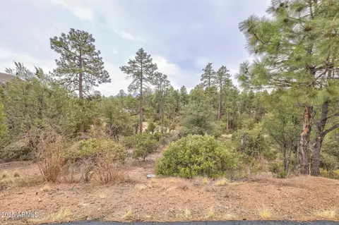 505 N Grapevine Dr #434, Payson, AZ 85541