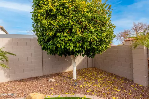 1451 E Ivanhoe St, Gilbert, AZ 85295 photo 51