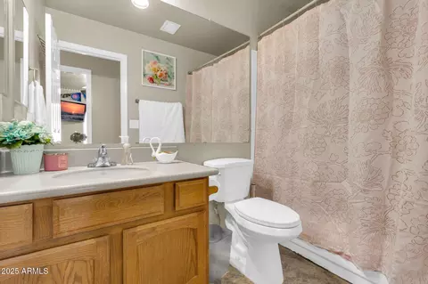 Bath - 906 N Swan Dr, Gilbert, AZ 85234 photo 3 of 4