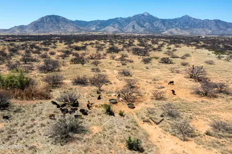 38 Acres 3 Canyons Blvd #P, Hereford, AZ 85615