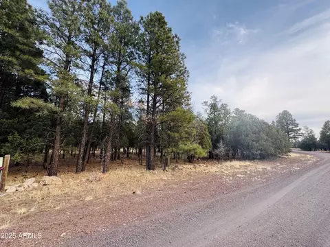 2211 Clear Creek Dr #56, Happy Jack, AZ 86024