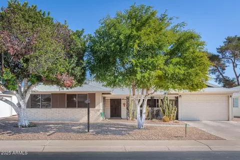 11008 W Cherry Hills Dr W, Sun City, AZ 85351