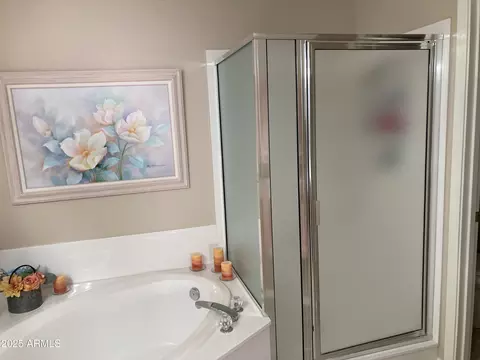 11440 E Milagro Ave, Mesa, AZ 85209 photo 31