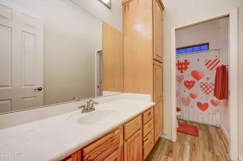 Bath - 1716 S 141st Pl, Gilbert, AZ 85295 photo 5 of 6