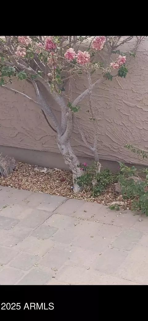9611 E Foster Ave, Sun Lakes, AZ 85248