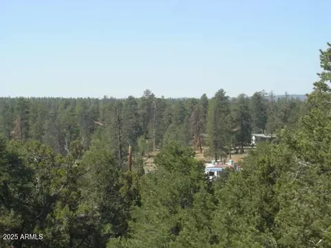 3500 N Rae Cir, Overgaard, AZ 85933 photo 3