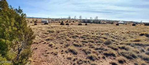 lot32 Taylor Farms -- #32, Taylor, AZ 85939