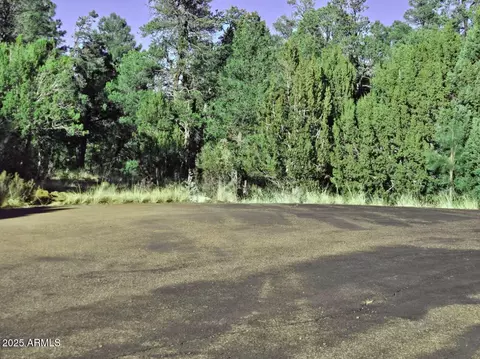 1526 Foxtail Ln #1, Heber, AZ 85928