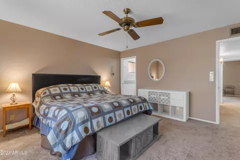 4725 E Capri Ave, Mesa, AZ 85206 photo 20