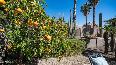 Exterior - 1022 E Hiddenview Dr, Phoenix, AZ 85048 photo 3 of 7