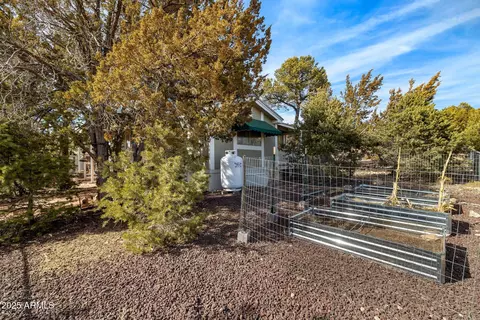 3498 Wildflower Dr, Overgaard, AZ 85933 photo 29