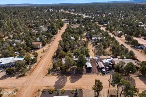 3498 Wildflower Dr, Overgaard, AZ 85933 photo 30
