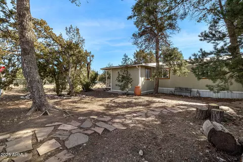 3498 Wildflower Dr, Overgaard, AZ 85933 photo 22
