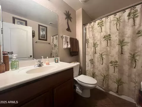 Bath - 11340 E Stearn Ave, Mesa, AZ 85212 photo 5 of 5