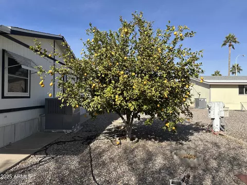 980 E Broadway Ave #48, Apache Junction, AZ 85120 photo 30