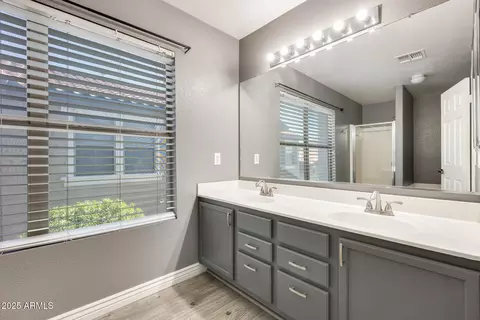 1081 E Lowell Ct, Gilbert, AZ 85295 photo 28