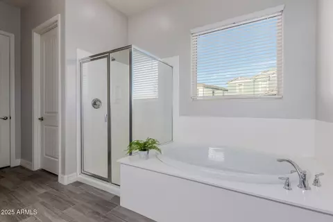 Bath - 10309 E Supernova Dr, Mesa, AZ 85212 photo 1 of 2