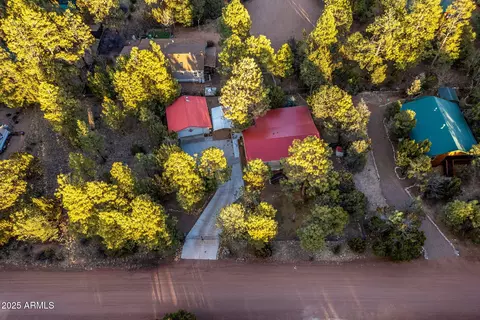 2925 Breezy Pine Dr, Overgaard, AZ 85933 photo 33