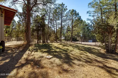 2925 Breezy Pine Dr, Overgaard, AZ 85933 photo 5