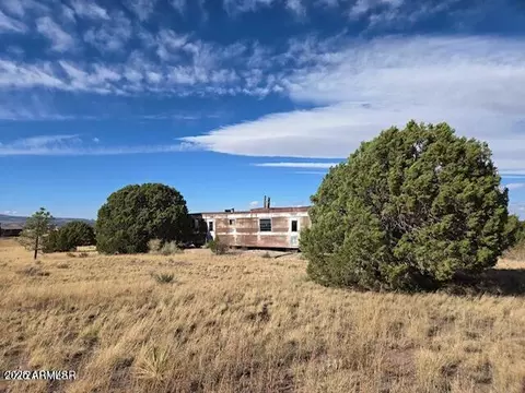41 County Road N2004 -- #114, Nutrioso, AZ 85932