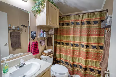 1981 Rustling Pine Dr, Overgaard, AZ 85933 photo 20