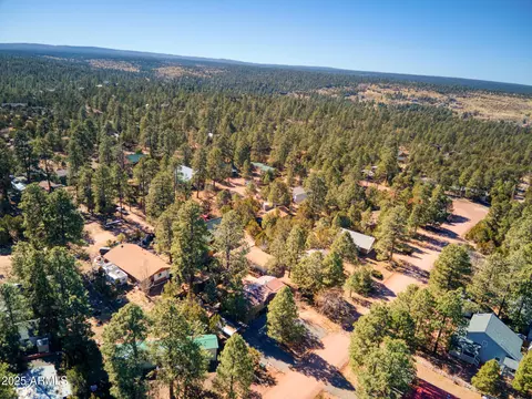 1981 Rustling Pine Dr, Overgaard, AZ 85933 photo 7