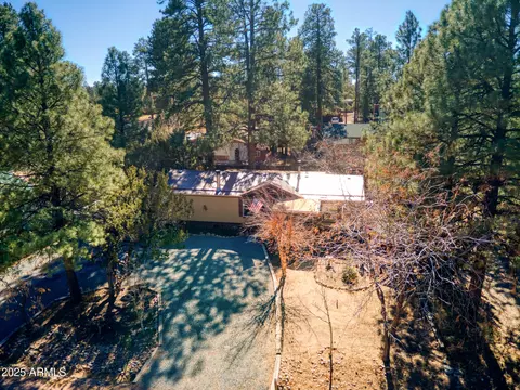 1981 Rustling Pine Dr, Overgaard, AZ 85933 photo 6